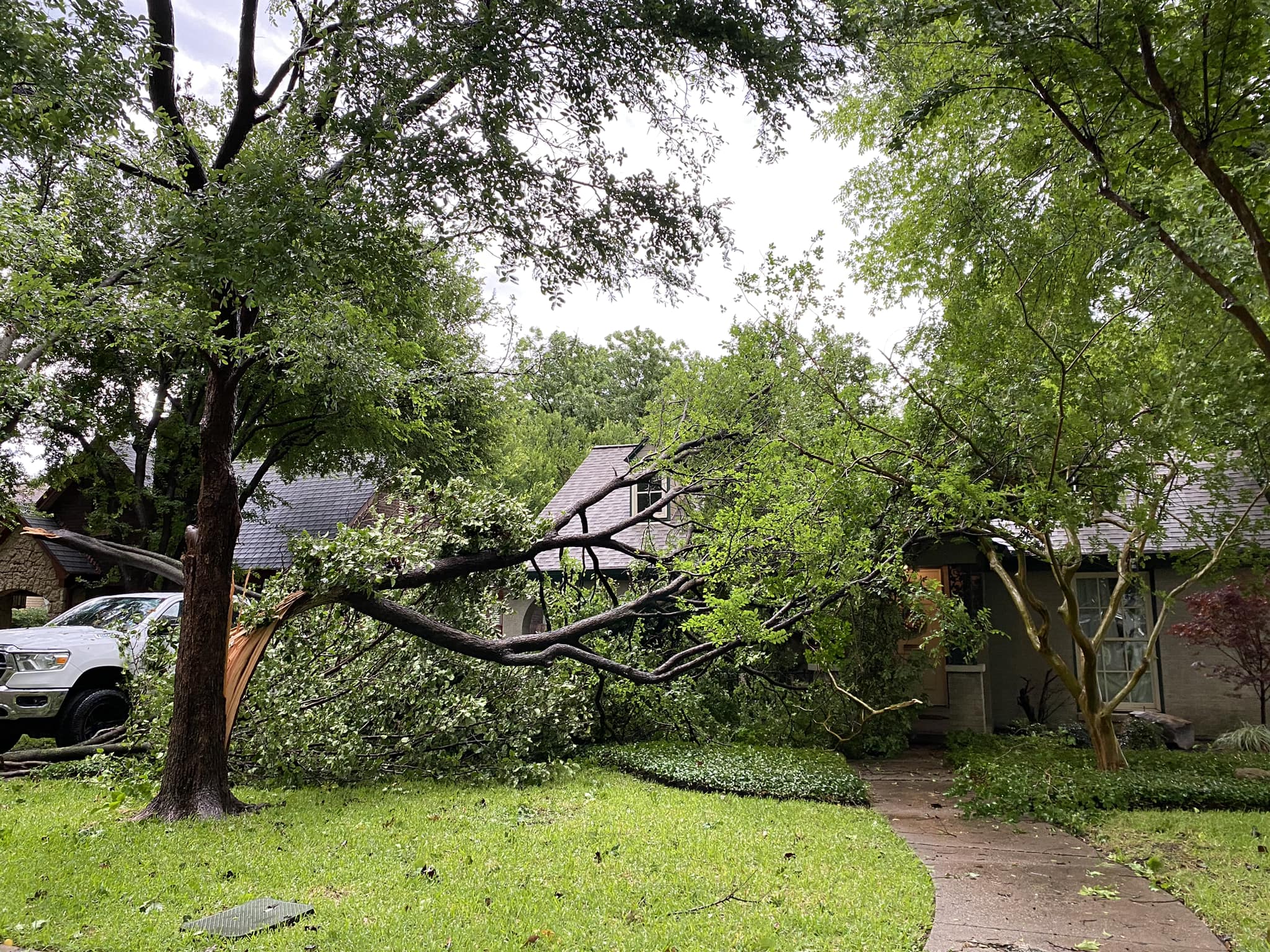 Emergency tree removal service in Dallas - fallen tree on residential property