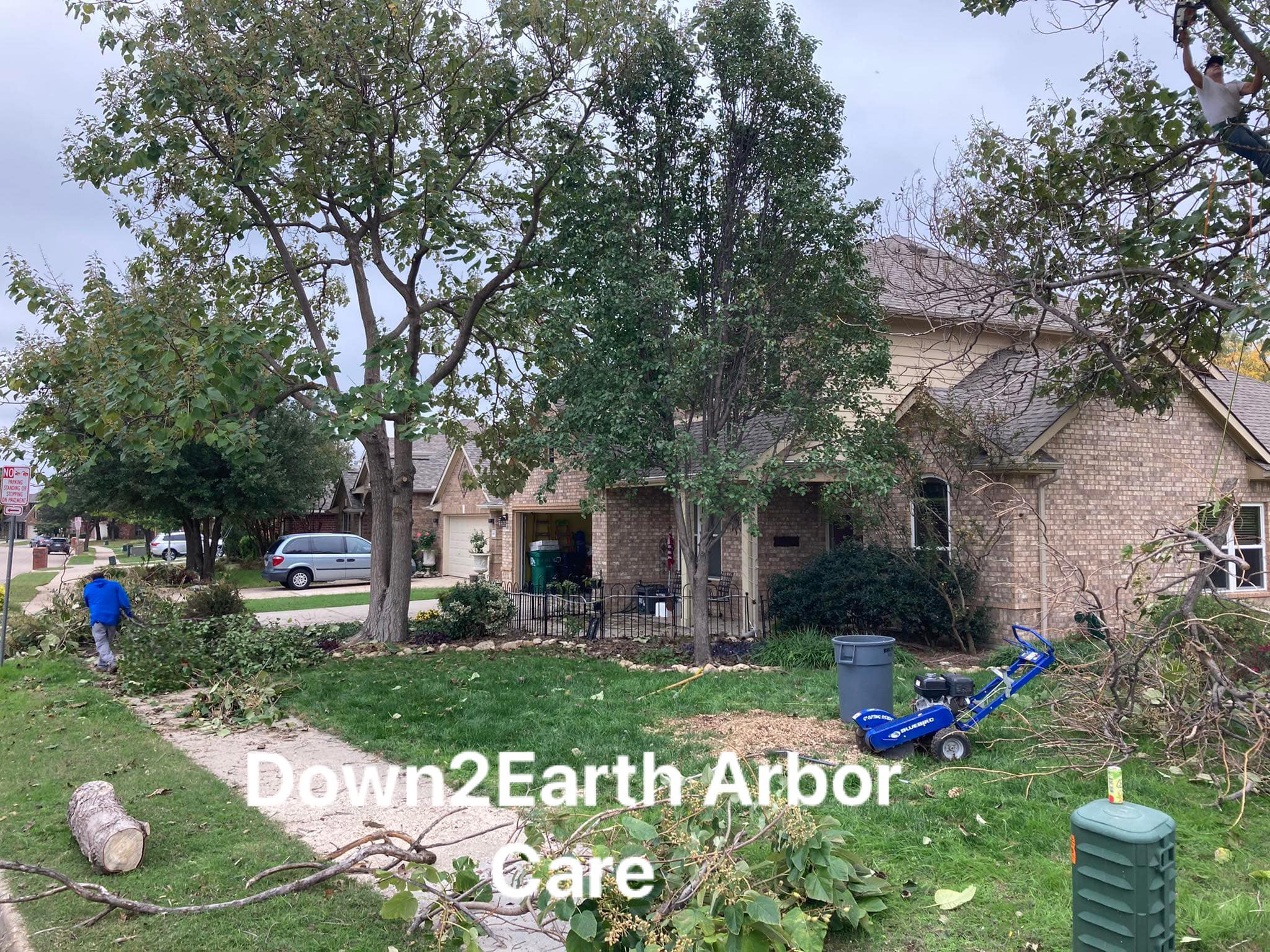 Professional tree cleanup equipment Denton